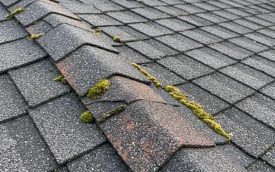 Early Signs Of Roof Failure